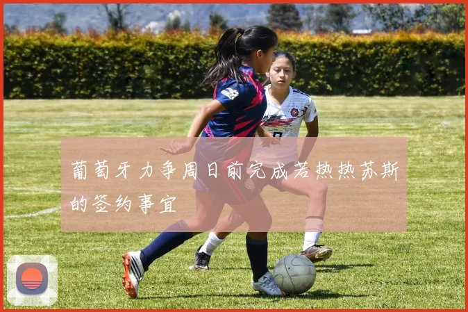 葡萄牙力争周日前完成若热热苏斯的签约事宜